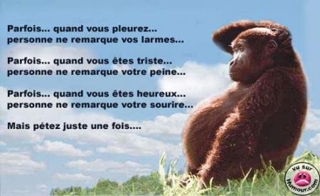 un peu...